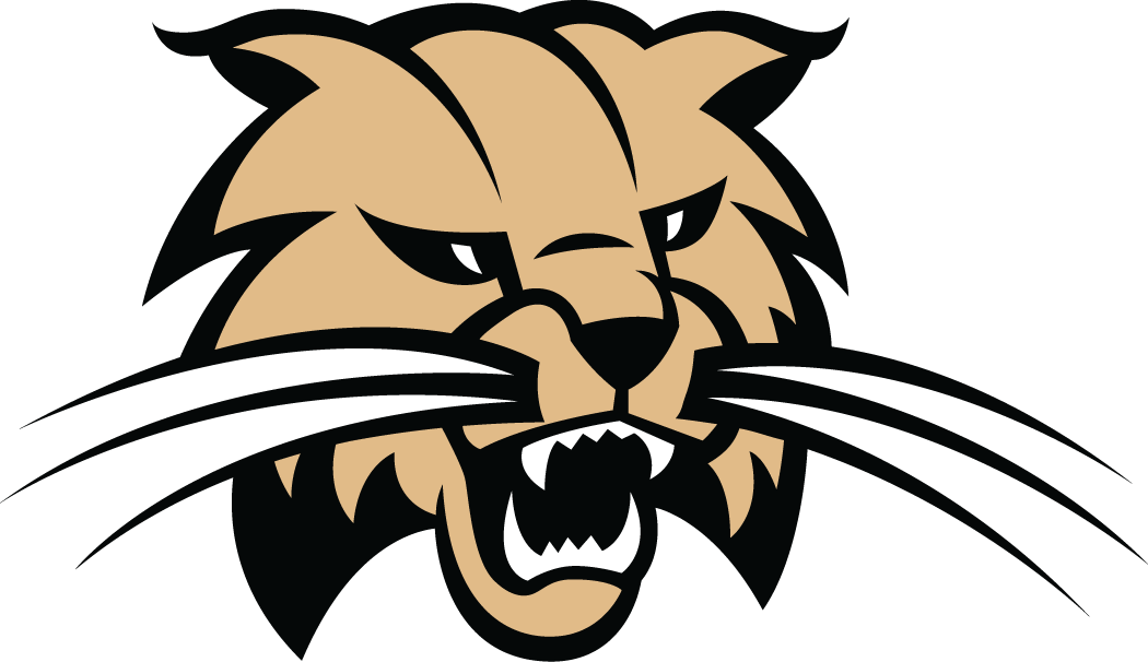 Ohio Bobcats 1999-Pres Alternate Logo diy fabric transfer